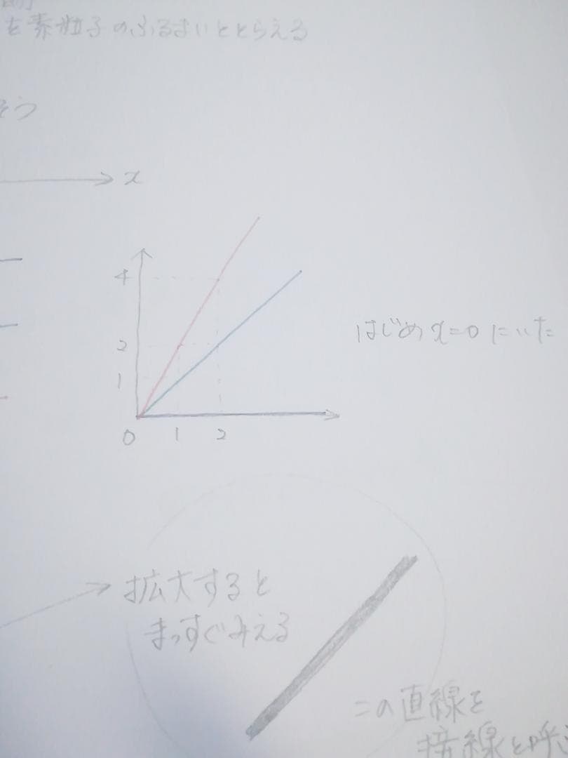 東進　理系物理の基礎　苑田先生の掲載問題・解説と講義板書　全セット　駿台　河合塾