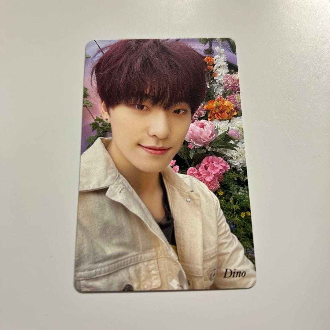 seventeen your choice ディノ thanks HMV トレカ