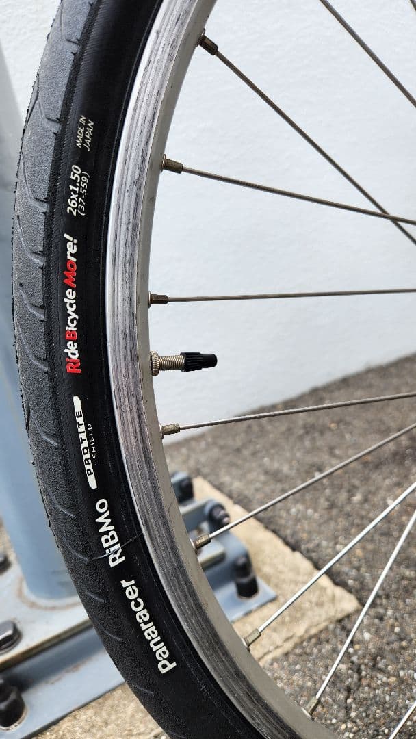 【12/25まで値下】LIGHTNING社　リカンベント　THUNDERBOLT