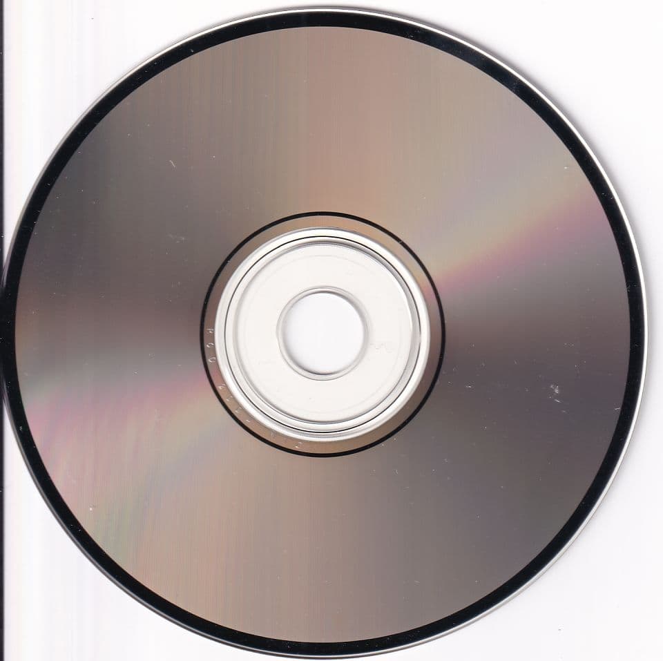 邦楽 Yuki Katsuragi & Salty Dog SHOUT