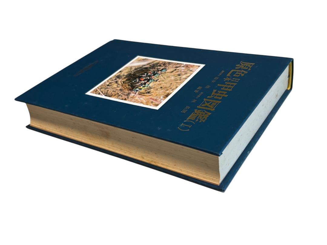 原色日本甲虫図鑑〈1〉 保育社