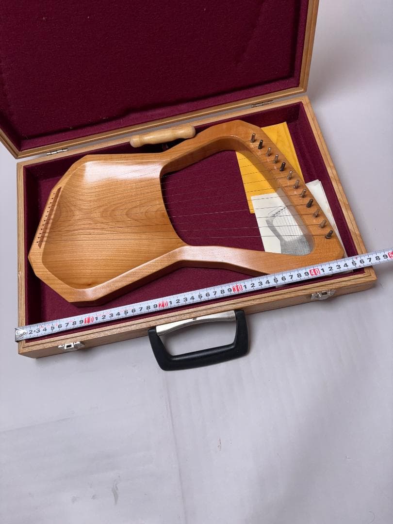 Choroi コロイ Kinderleier キンダーライアー 12弦 ライヤー