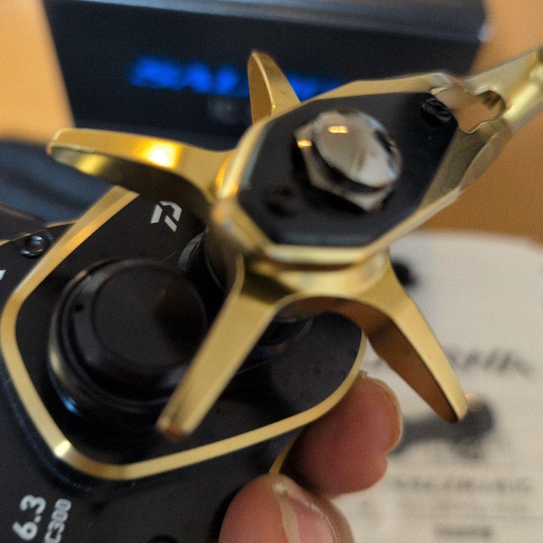 Daiwa SALTIGA　ダイワ　ソルティガ IC 300 ベイトリール