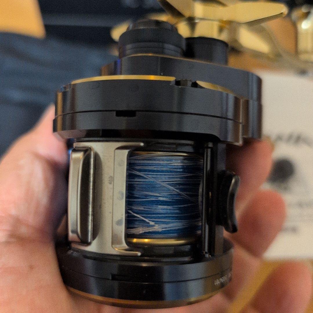 Daiwa SALTIGA　ダイワ　ソルティガ IC 300 ベイトリール