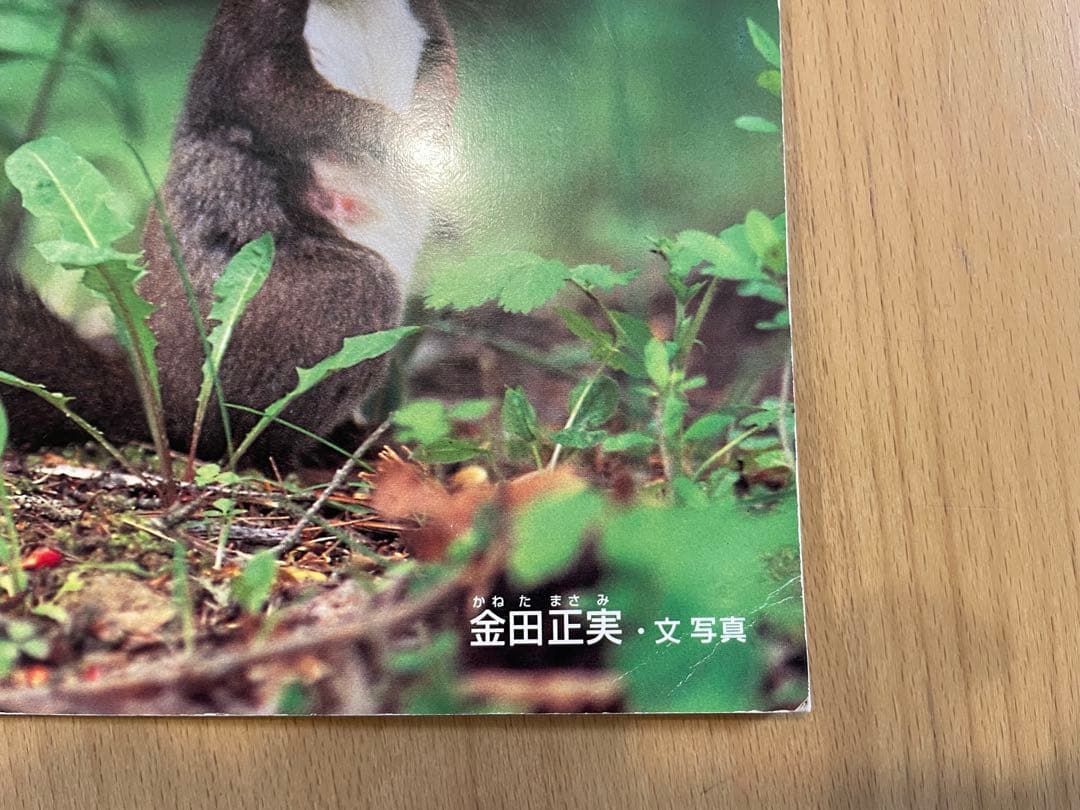 Ibyさま専用　冬休みに♪ かがくのとも　いきもの絵本セット