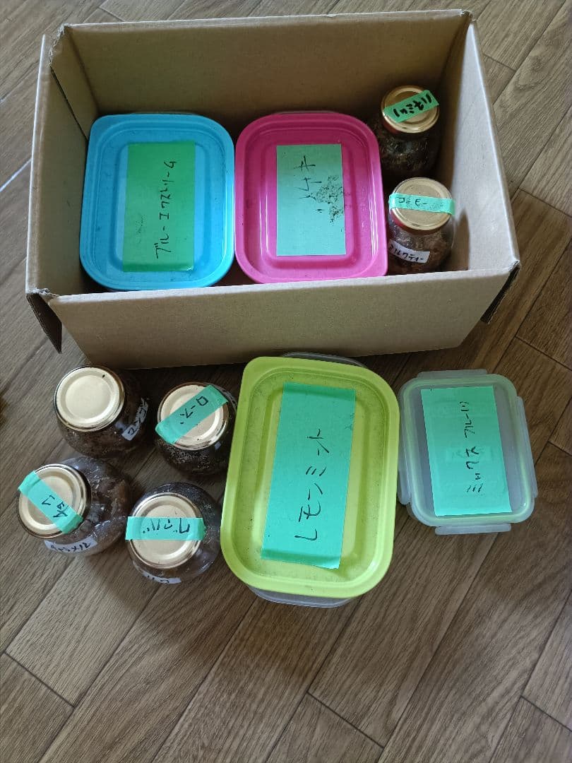 シーシャ　シーシャ用道具セット