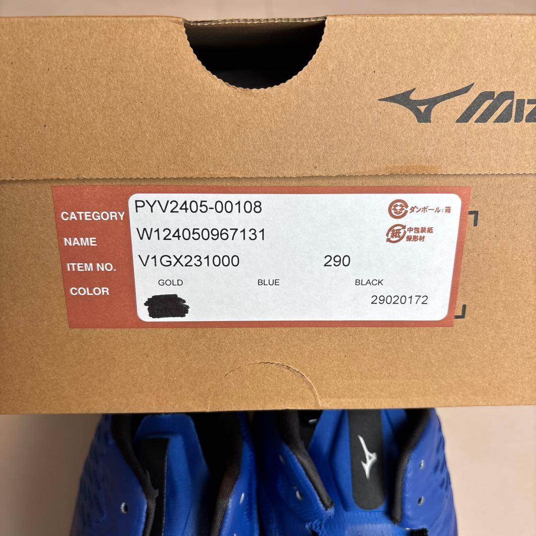 ミズノ バレーボールシューズ 29cm ハイカット