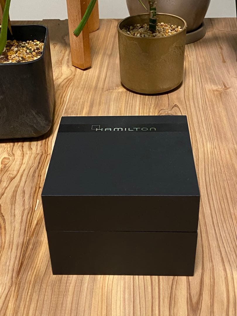 ガパオライス⭐︎　HAMILTON ベンチュラ