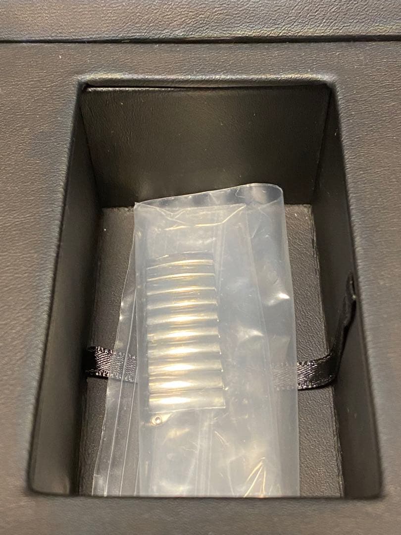 ガパオライス⭐︎　HAMILTON ベンチュラ