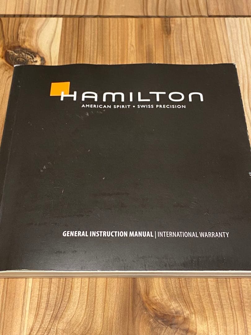 ガパオライス⭐︎　HAMILTON ベンチュラ