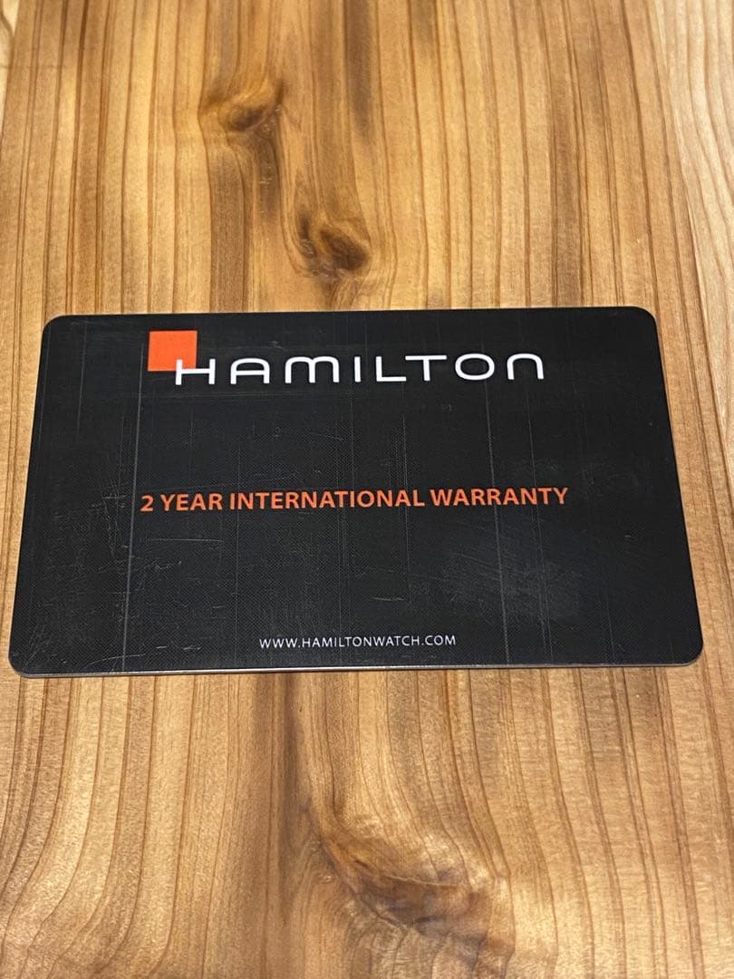 ガパオライス⭐︎　HAMILTON ベンチュラ