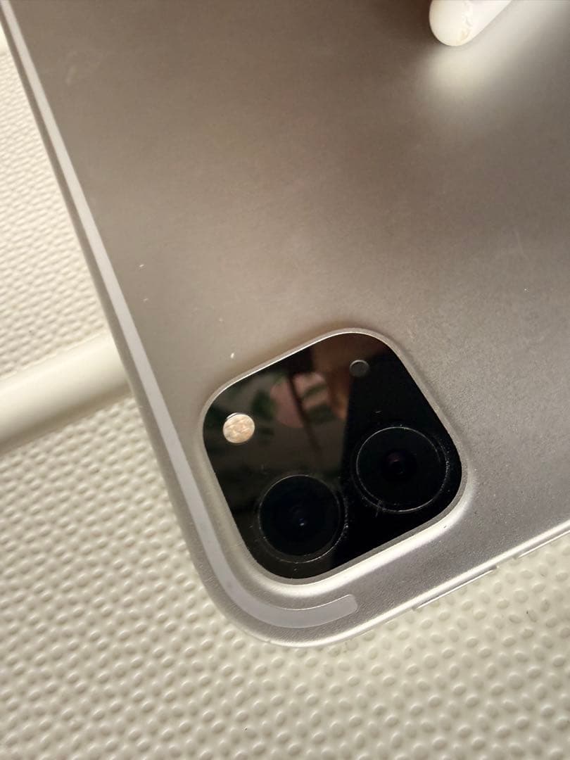 【ぼりぼりiPad Pro（11インチ）（第2世代） Wifi モデル