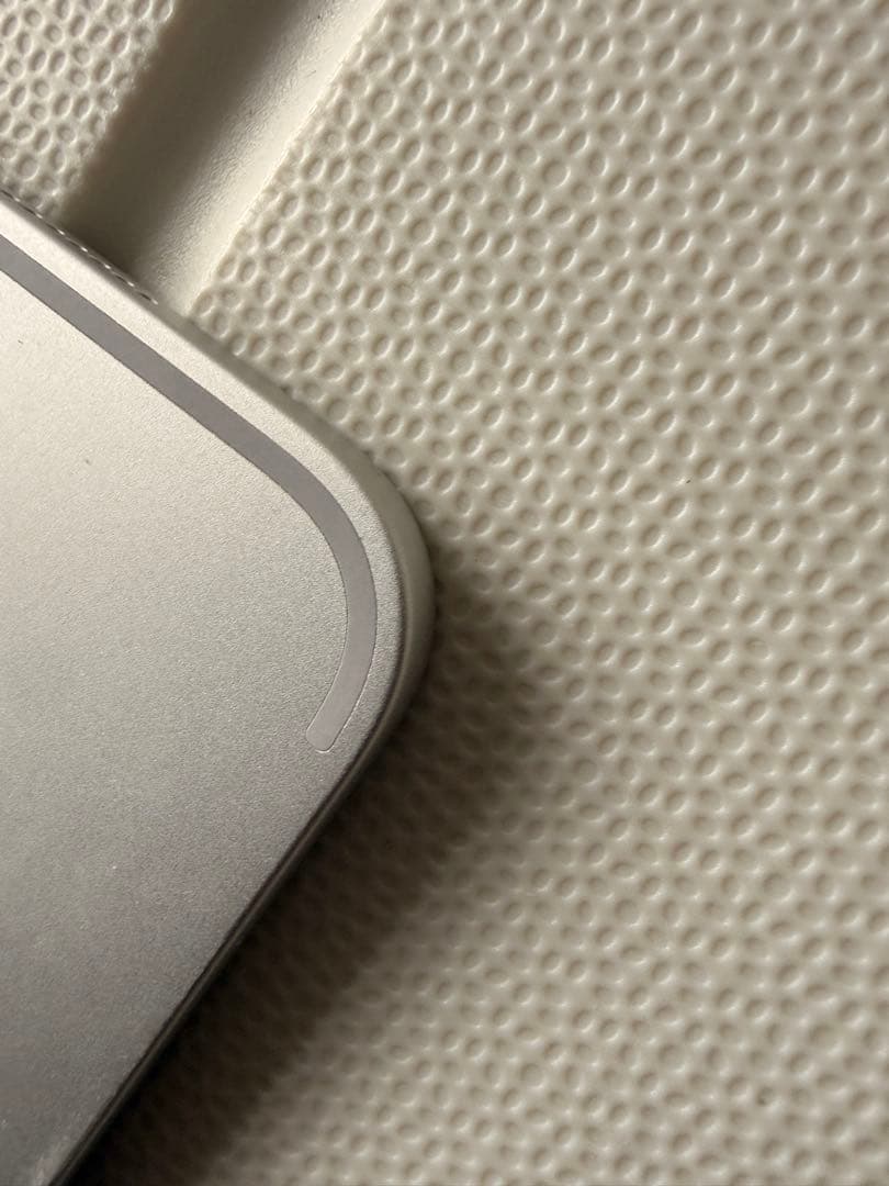 【ぼりぼりiPad Pro（11インチ）（第2世代） Wifi モデル