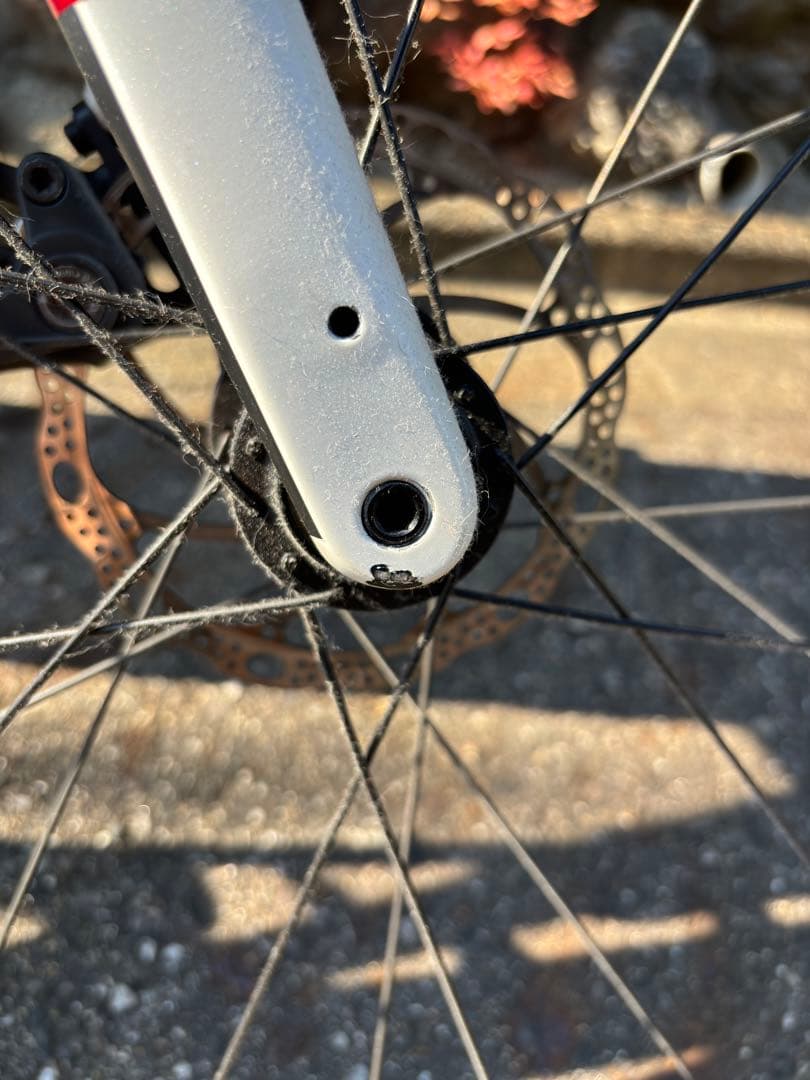 Trek Domane AL 3 Disc サイコン、ライト、ベル付属