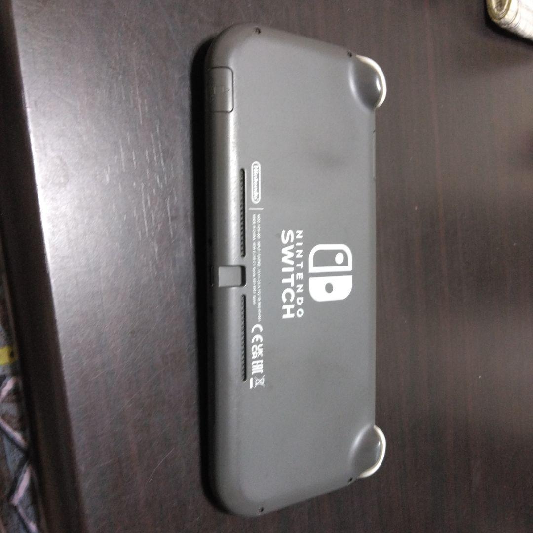 スイッチライトです