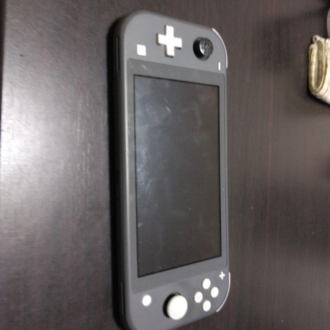 スイッチライトです