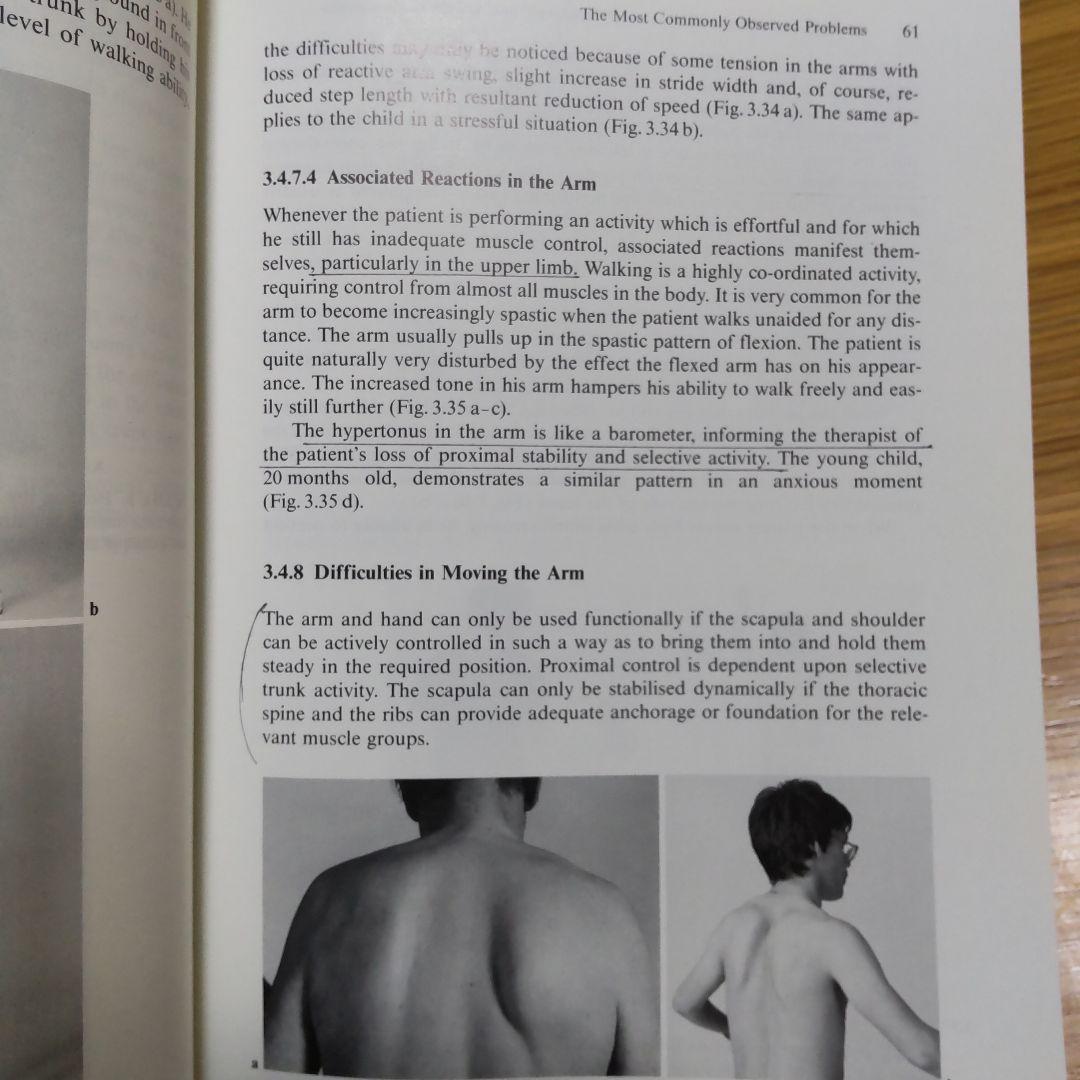 超希少‼️ライト イン ザ ミドル‼️原著‼️