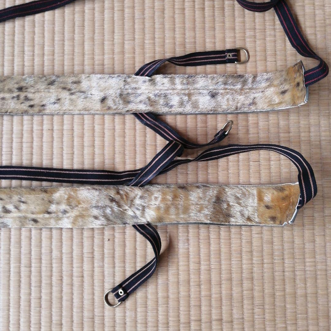 ゾンメルスキー　アザラシ　シール