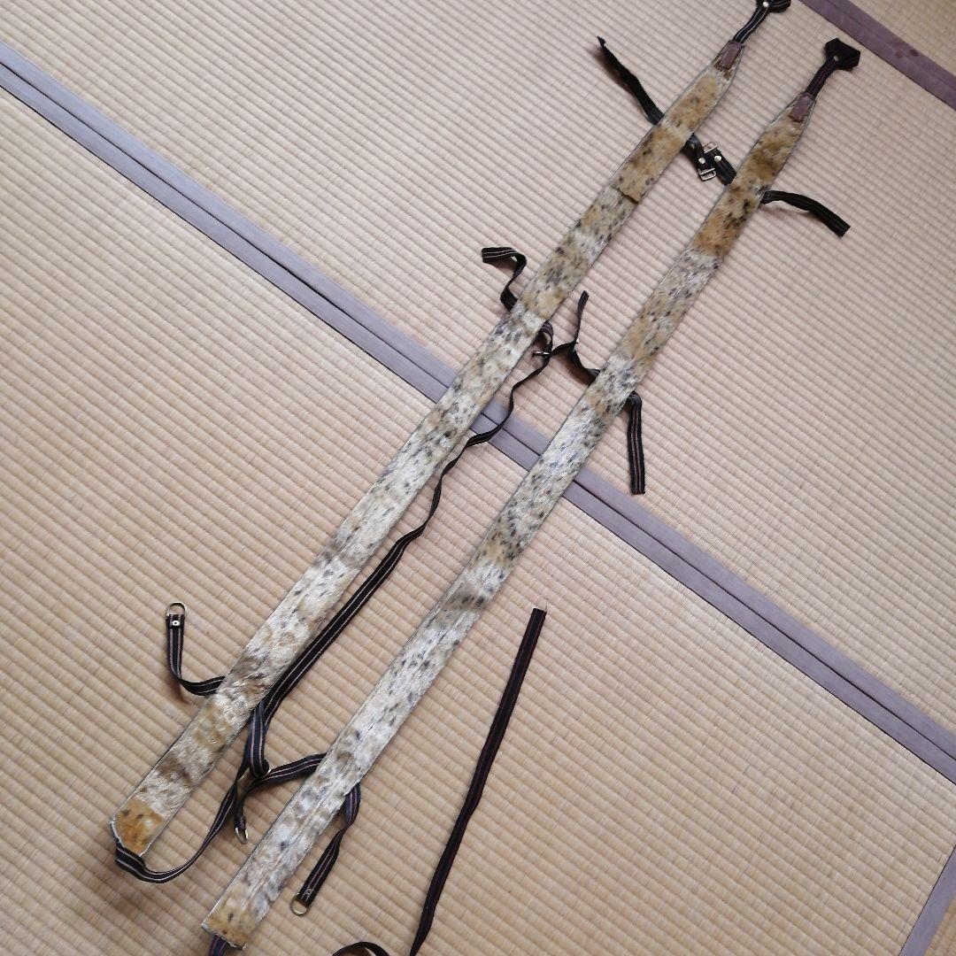 ゾンメルスキー　アザラシ　シール