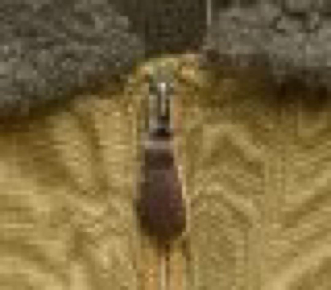 RRL コットン ジャージー ボンバー ジャケット フライト メンズ