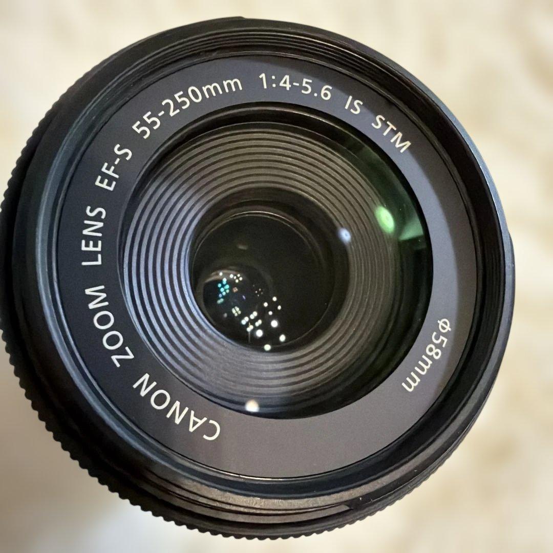 【ジャンク】canon レンズ EFS 55-250mm