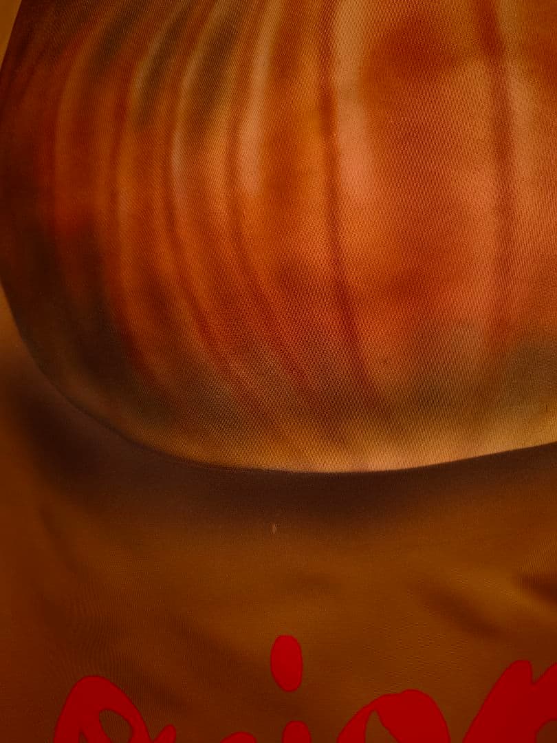 doublet ダブレット VEGETABLE DYED MA-1