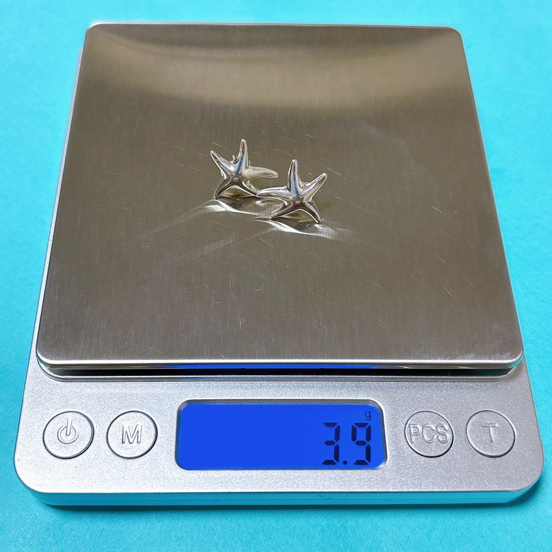 【美品】Tiffany ティファニー フィッシュスター ピアス シルバー925