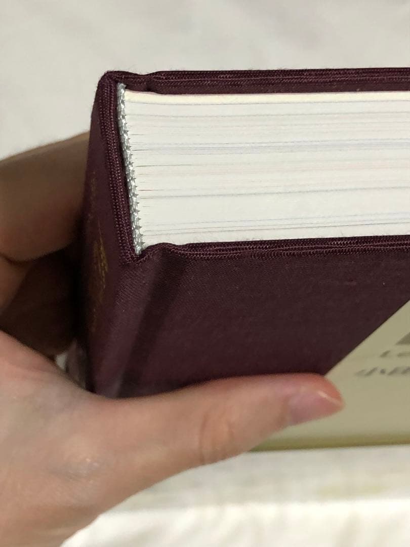 小田部洋一　アニメーション画集　アニドウ　宮崎駿　高畑勲　ジブリ