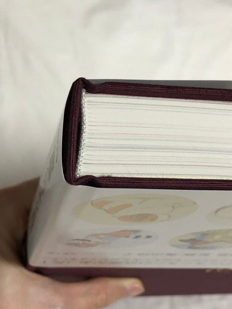 小田部洋一　アニメーション画集　アニドウ　宮崎駿　高畑勲　ジブリ