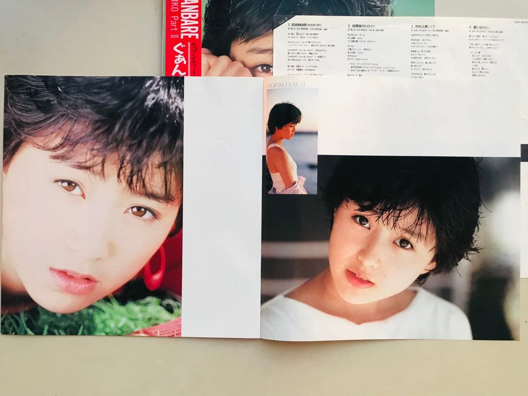 酒井法子　NORIKO Part I& Part II 写真集付きセット！