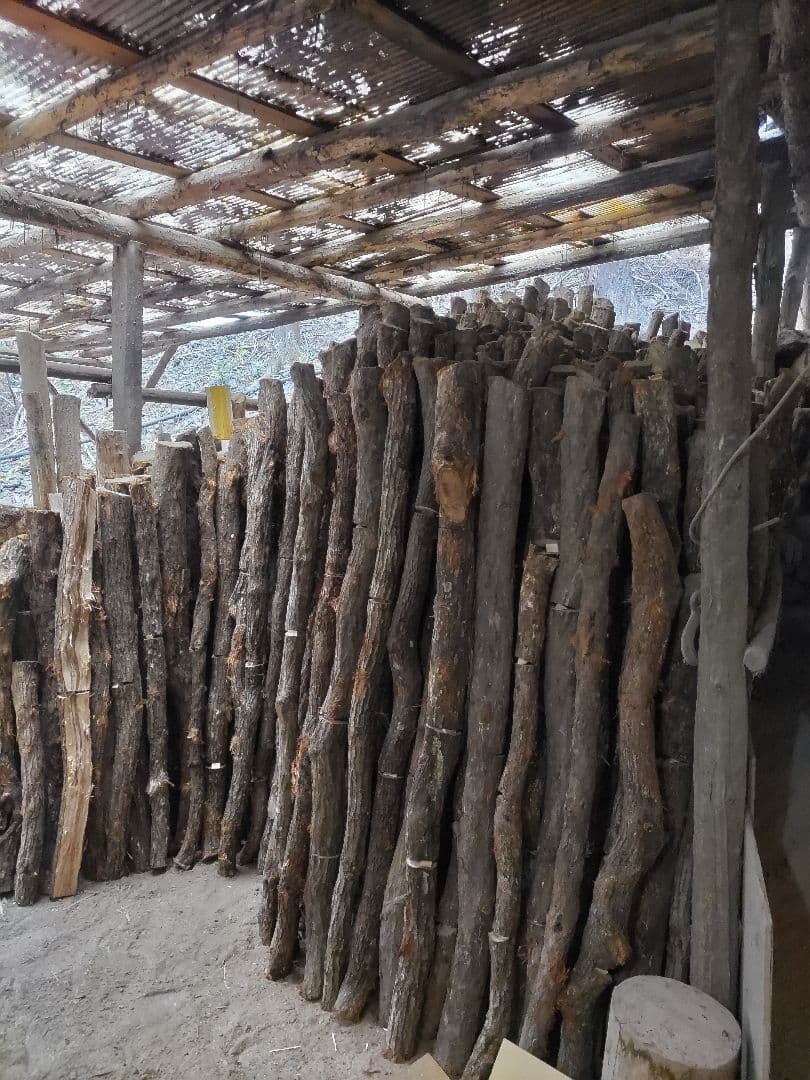 紀州備長炭 15kg 馬目　並