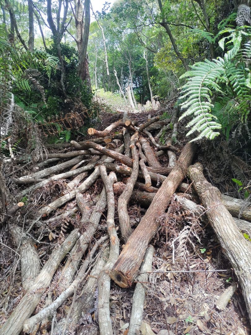 紀州備長炭 15kg 馬目　並