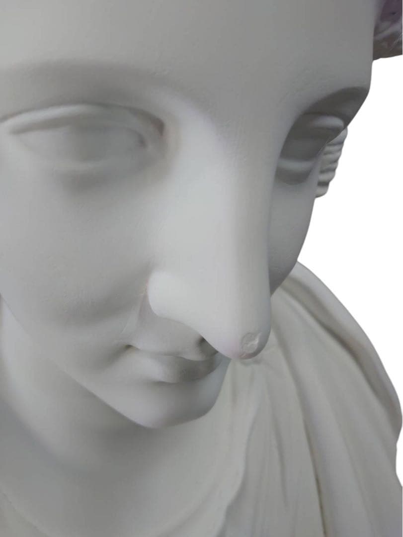 パジャント ベレニケ 石膏像 胸像 デッサン 彫刻