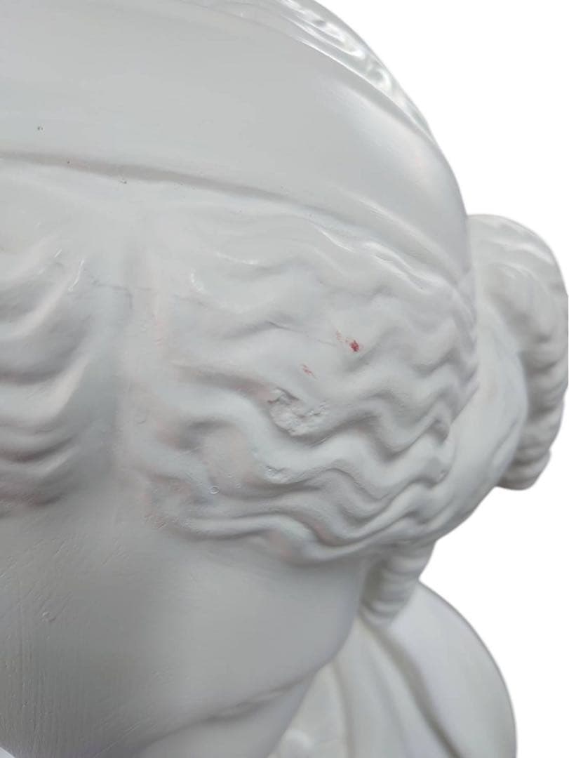 パジャント ベレニケ 石膏像 胸像 デッサン 彫刻