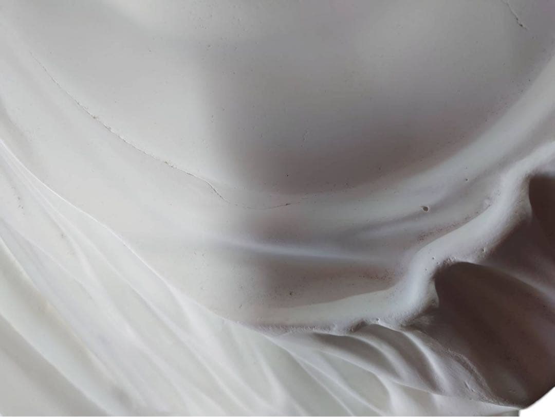 パジャント ベレニケ 石膏像 胸像 デッサン 彫刻