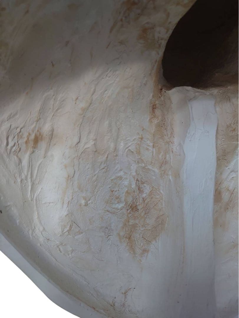 パジャント ベレニケ 石膏像 胸像 デッサン 彫刻