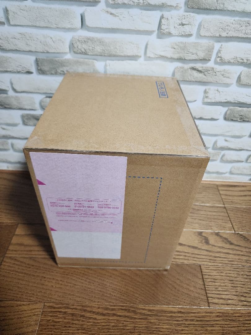 ワンピース “Evolutionary History” 「ステューシー」