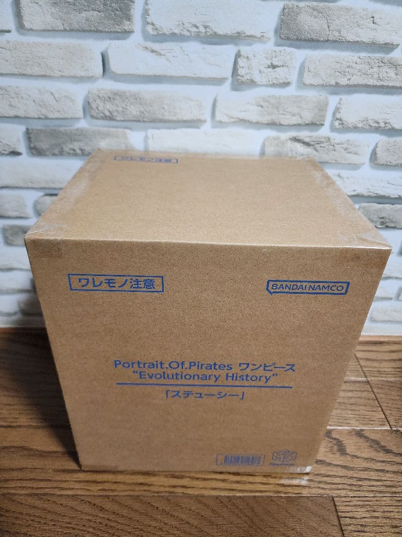 ワンピース “Evolutionary History” 「ステューシー」