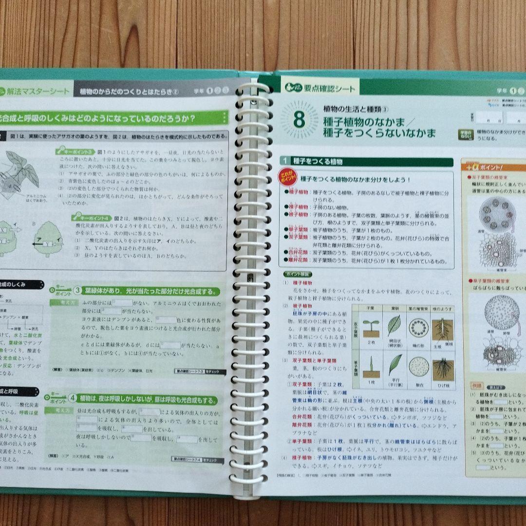 自宅学習教材　中学　5教科（国・数・理・社・英）DVD付