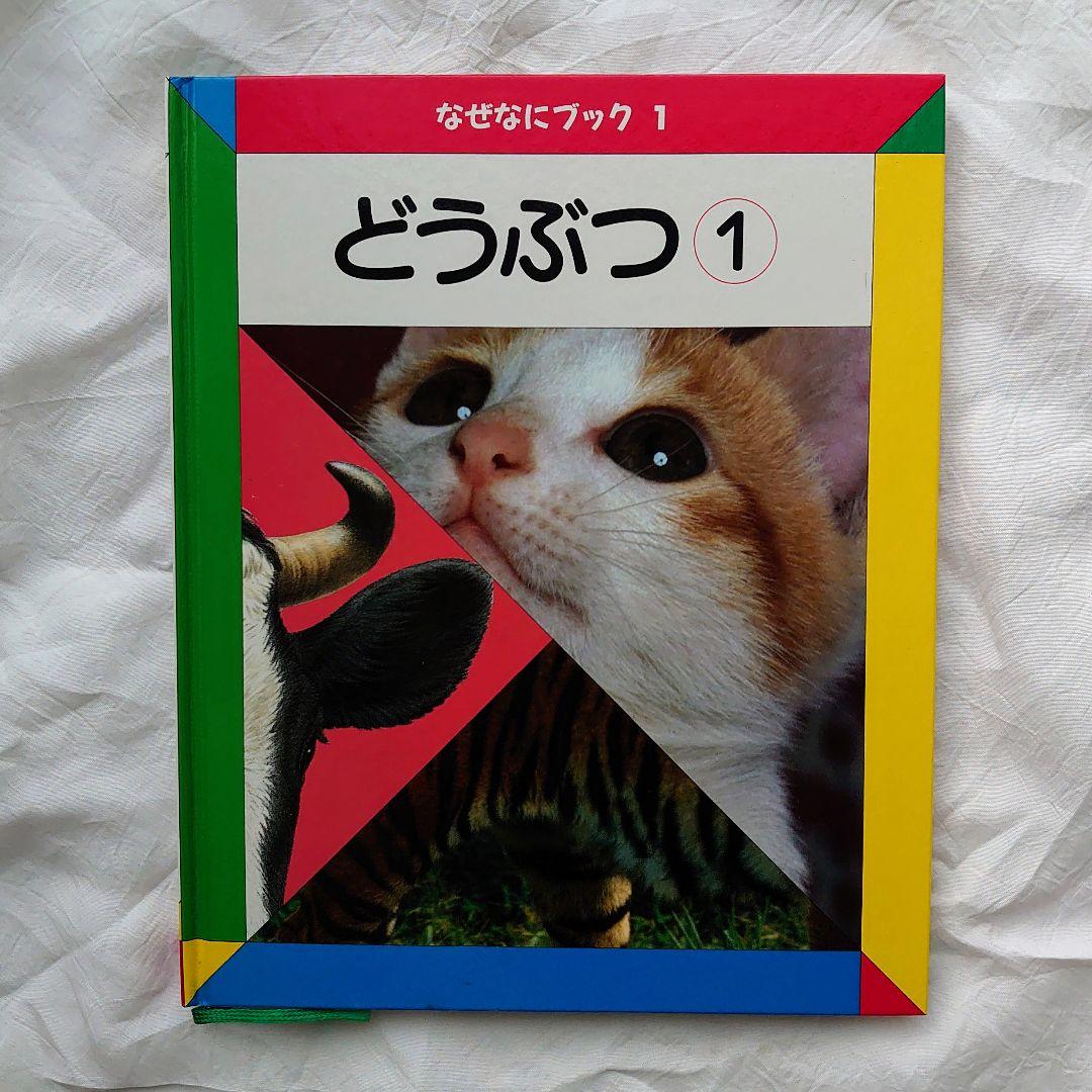 七田 しちだ 右脳記憶プリント せんがきプリント 家庭保育園 なぜなにブック 等