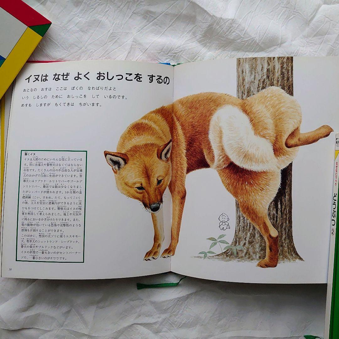 七田 しちだ 右脳記憶プリント せんがきプリント 家庭保育園 なぜなにブック 等