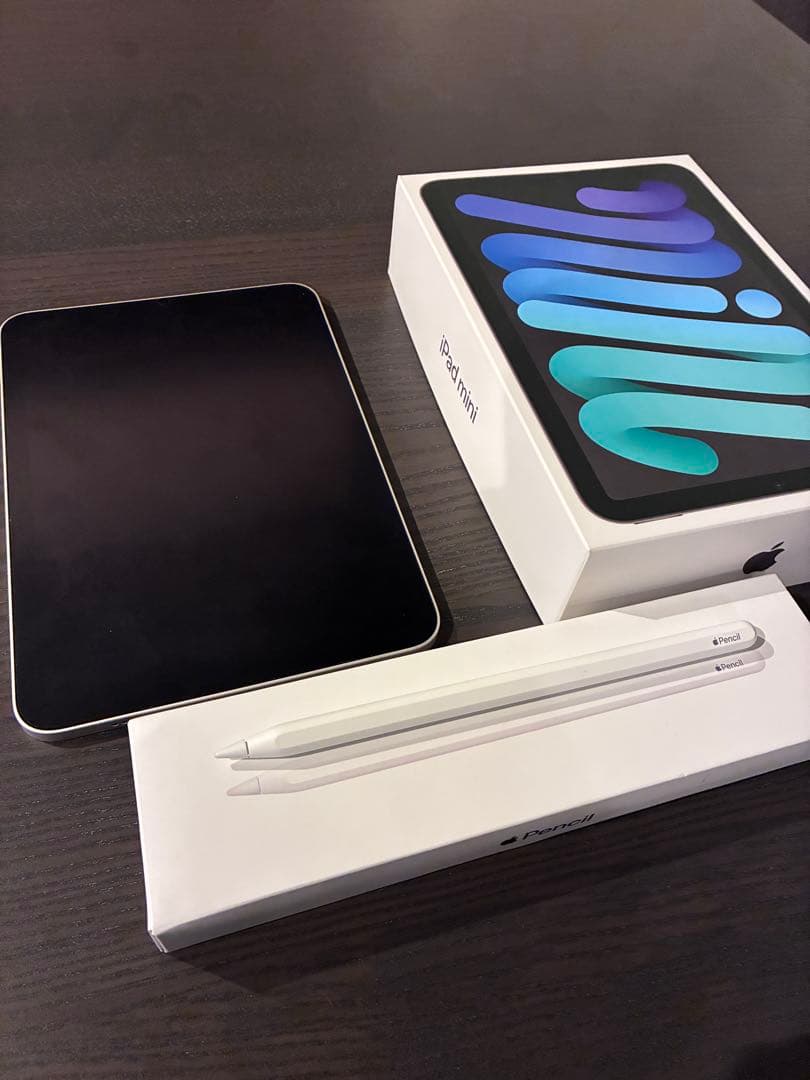 「楓」iPad mini (第6世代) 64GB