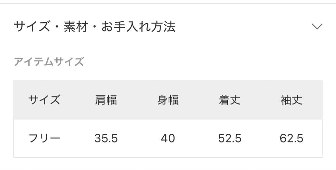 IENA Flowerストレッチレースプルオーバー　ナチュラル　used 美品