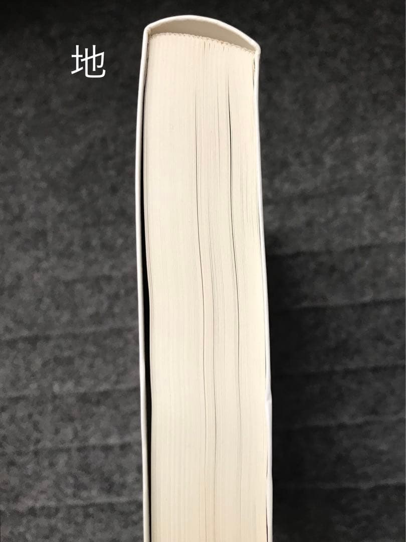 Annotated Catalogue Raisonn of the Book〜