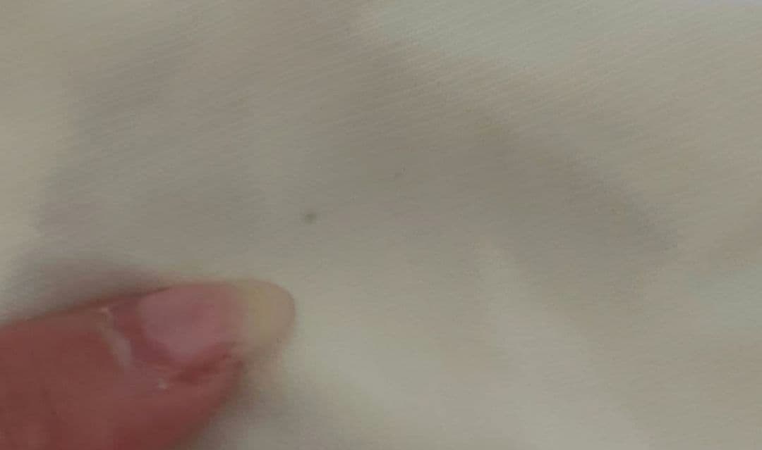 【期間限定セール】フラメンコ衣装セパレートドレス ★ブラウスはオマケ