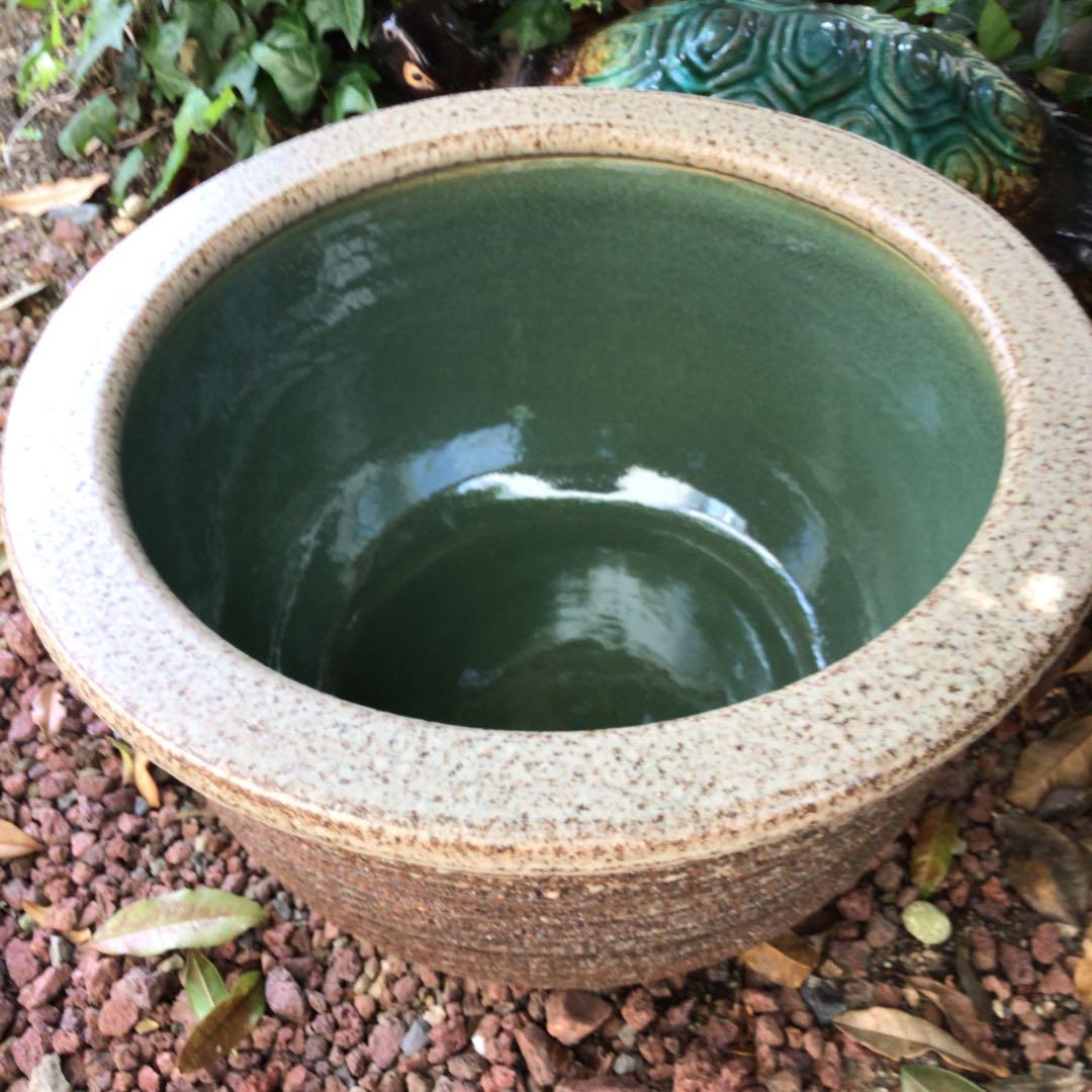 信楽焼　めだか鉢　睡蓮鉢　ビオトープ43.5cm