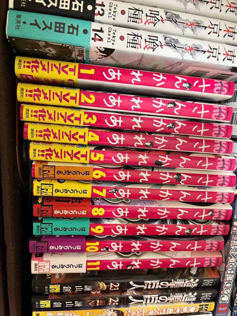 鋼の錬金術師　GANTZ さんかれあ　惡の花　全巻　セット