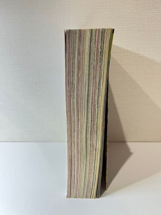 コロコロコミック 1996年 1月号