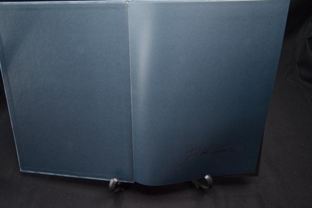 Blue Mud Swamp：Filipe Casaca　★大幅に値下げしました