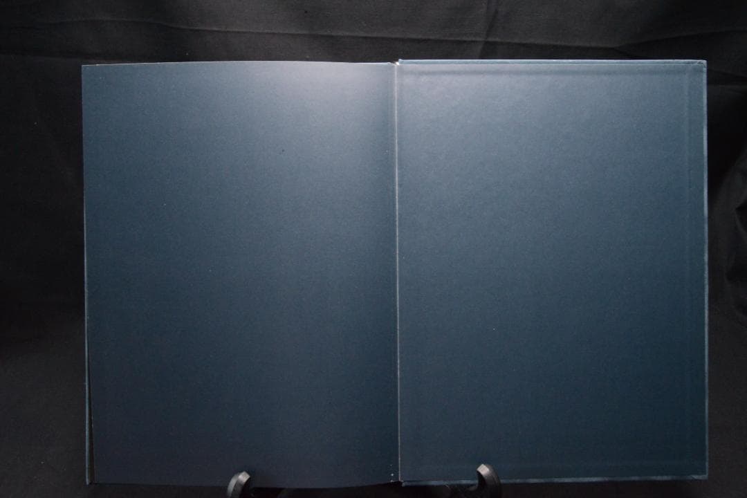 Blue Mud Swamp：Filipe Casaca　★大幅に値下げしました